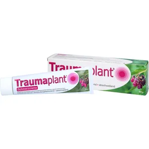 Traumaplant® Schmerzcreme, 100 g* 