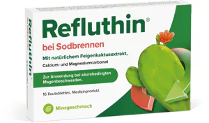 Refluthin® bei Sodbrennen Kautabletten Minze, 16 Stück